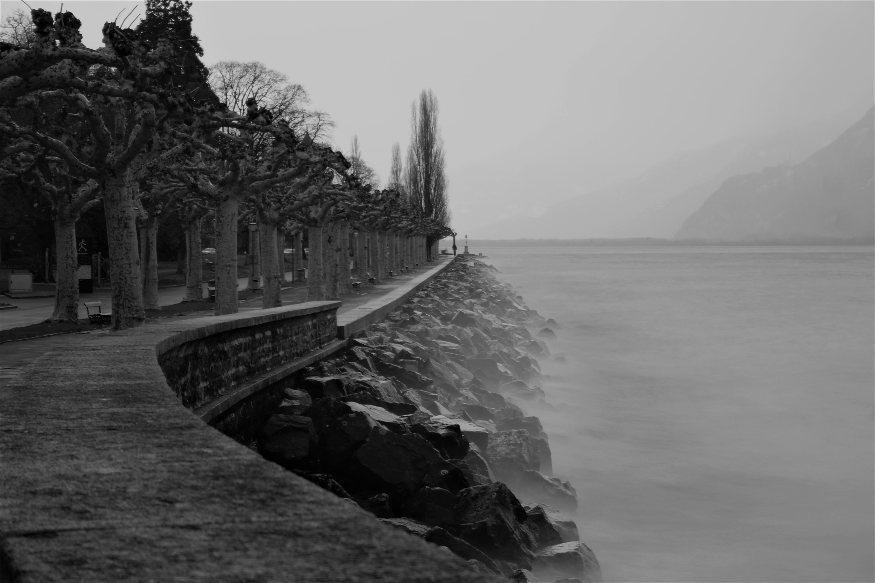 Quai Roussy Tour de Peilz